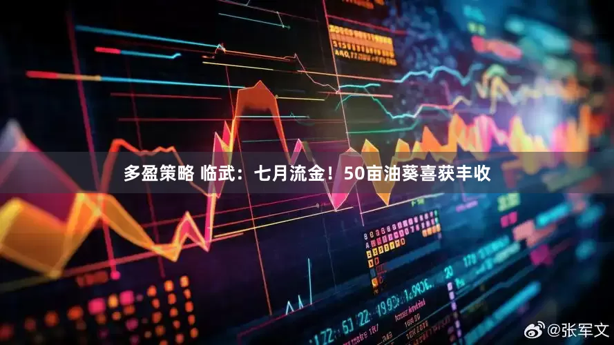 多盈策略 临武：七月流金！50亩油葵喜获丰收
